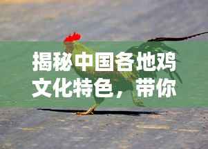 揭秘中国各地鸡文化特色,带你领略鸡的世界!