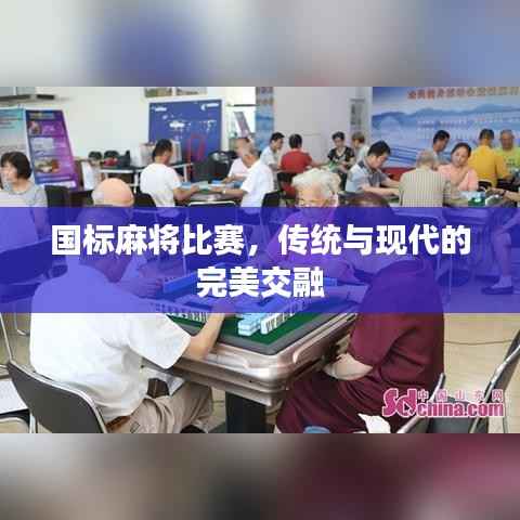 国标麻将比赛,传统与现代的完美交融