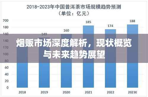 烟贩市场深度解析,现状概览与未来趋势展望