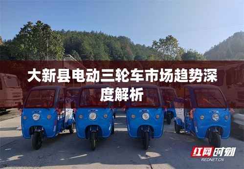 大新县电动三轮车市场趋势深度解析